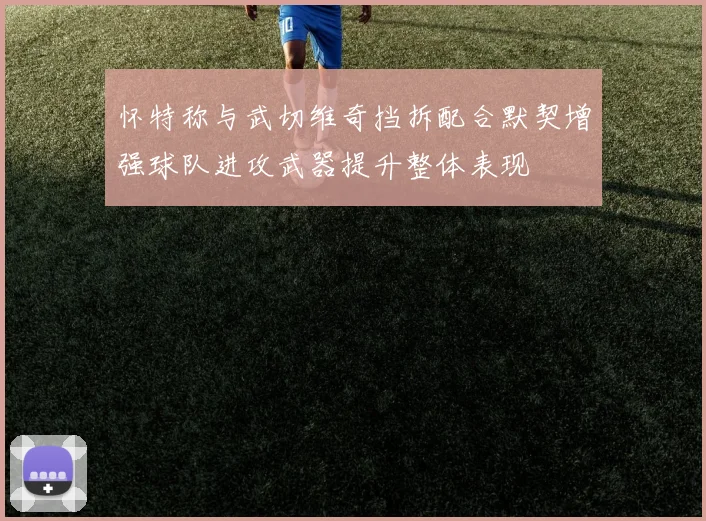 怀特称与武切维奇挡拆配合默契增强球队进攻武器提升整体表现