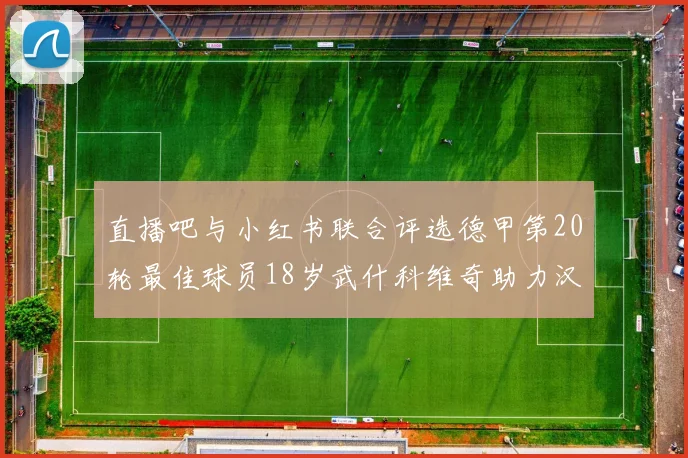 直播吧与小红书联合评选德甲第20轮最佳球员18岁武什科维奇助力汉堡逼平拜仁